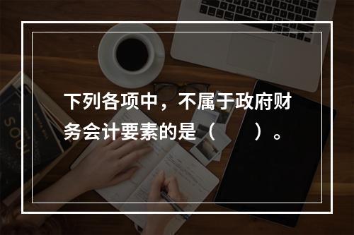 下列各项中，不属于政府财务会计要素的是（　　）。