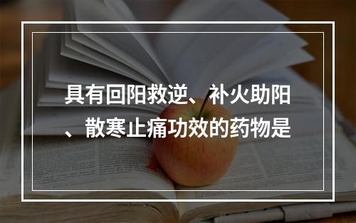 具有回阳救逆、补火助阳、散寒止痛功效的药物是