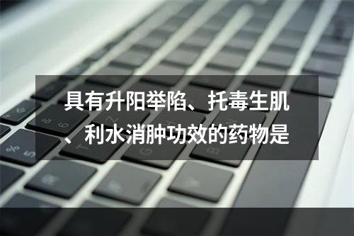 具有升阳举陷、托毒生肌、利水消肿功效的药物是