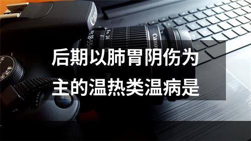 后期以肺胃阴伤为主的温热类温病是