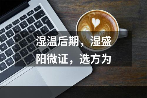 湿温后期，湿盛阳微证，选方为