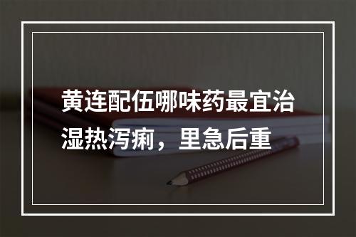 黄连配伍哪味药最宜治湿热泻痢，里急后重