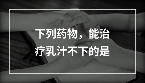 下列药物，能治疗乳汁不下的是