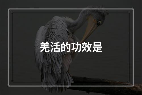 羌活的功效是