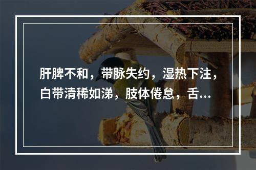 肝脾不和，带脉失约，湿热下注，白带清稀如涕，肢体倦怠，舌淡苔