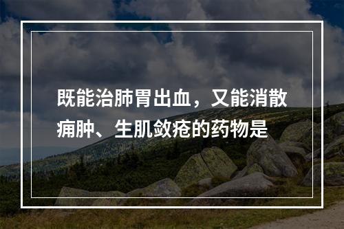 既能治肺胃出血，又能消散痈肿、生肌敛疮的药物是