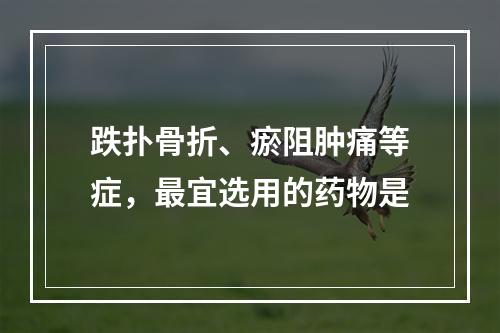 跌扑骨折、瘀阻肿痛等症，最宜选用的药物是