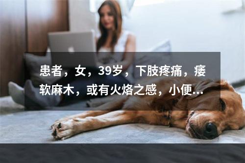 患者，女，39岁，下肢疼痛，痿软麻木，或有火烙之感，小便短赤