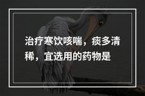 治疗寒饮咳喘，痰多清稀，宜选用的药物是