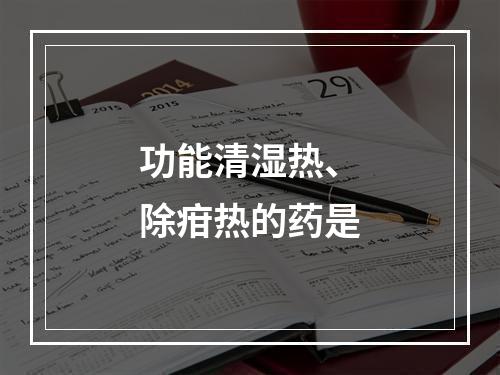 功能清湿热、除疳热的药是