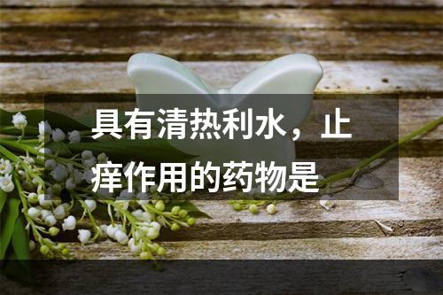 具有清热利水，止痒作用的药物是