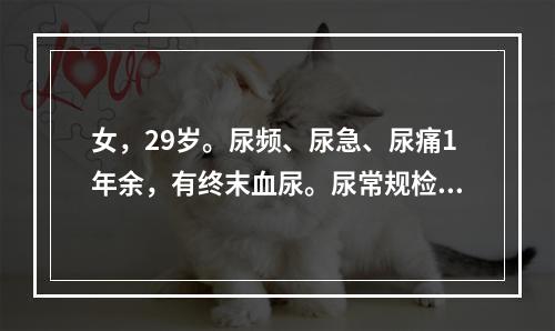 女，29岁。尿频、尿急、尿痛1年余，有终末血尿。尿常规检查：