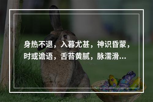 身热不退，入暮尤甚，神识昏蒙，时或谵语，舌苔黄腻，脉濡滑而数