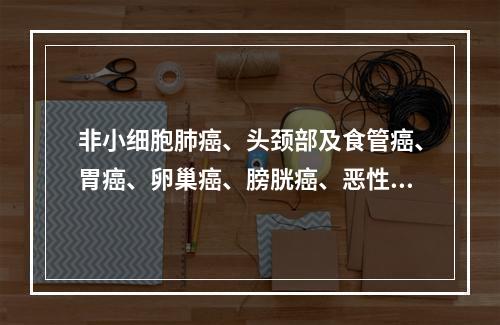 非小细胞肺癌、头颈部及食管癌、胃癌、卵巢癌、膀胱癌、恶性淋巴