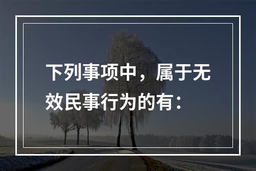 下列事项中，属于无效民事行为的有：