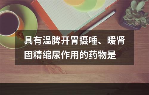 具有温脾开胃摄唾、暖肾固精缩尿作用的药物是