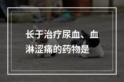 长于治疗尿血、血淋涩痛的药物是