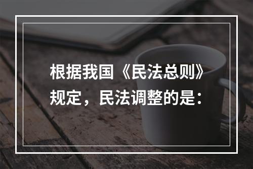 根据我国《民法总则》规定，民法调整的是：