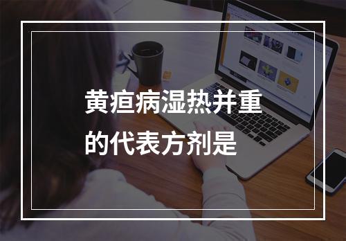 黄疸病湿热并重的代表方剂是