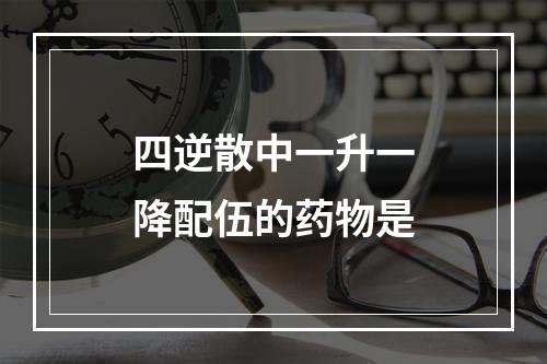 四逆散中一升一降配伍的药物是