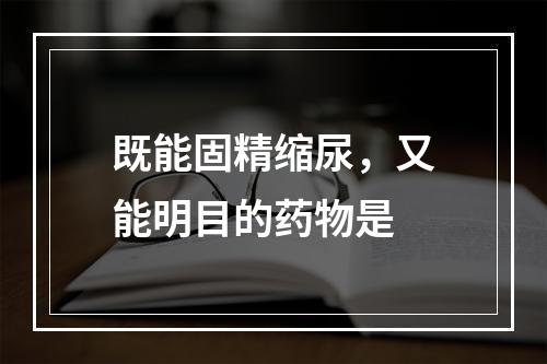 既能固精缩尿，又能明目的药物是