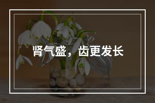 肾气盛，齿更发长