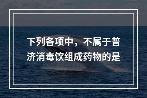 下列各项中，不属于普济消毒饮组成药物的是