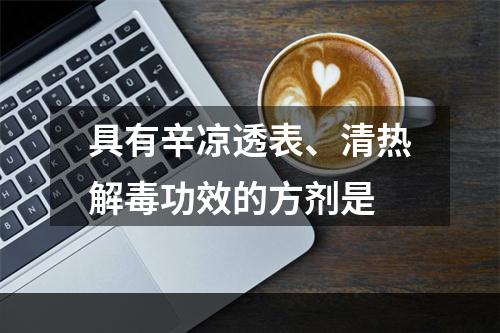 具有辛凉透表、清热解毒功效的方剂是