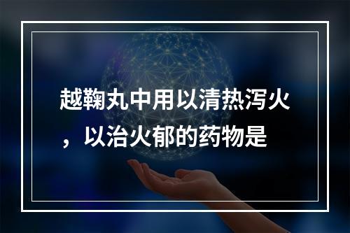 越鞠丸中用以清热泻火，以治火郁的药物是