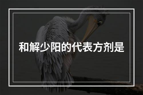 和解少阳的代表方剂是