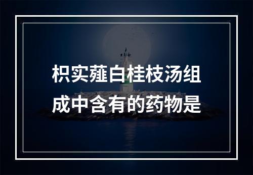 枳实薤白桂枝汤组成中含有的药物是