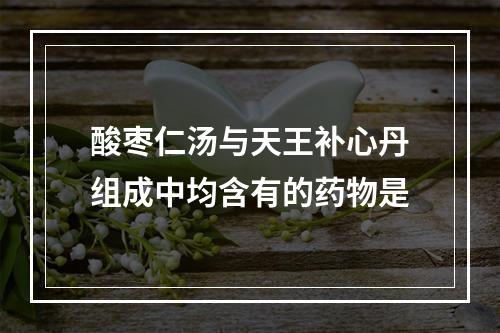 酸枣仁汤与天王补心丹组成中均含有的药物是