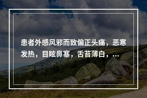 患者外感风邪而致偏正头痛，恶寒发热，目眩鼻塞，舌苔薄白，脉浮