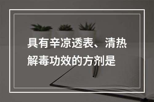 具有辛凉透表、清热解毒功效的方剂是