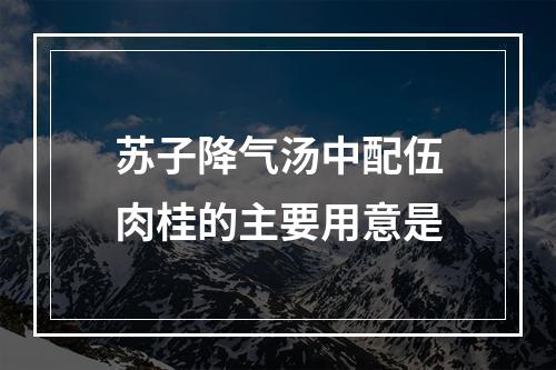 苏子降气汤中配伍肉桂的主要用意是