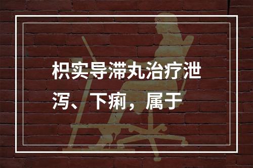 枳实导滞丸治疗泄泻、下痢，属于