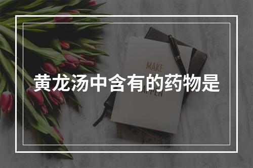 黄龙汤中含有的药物是