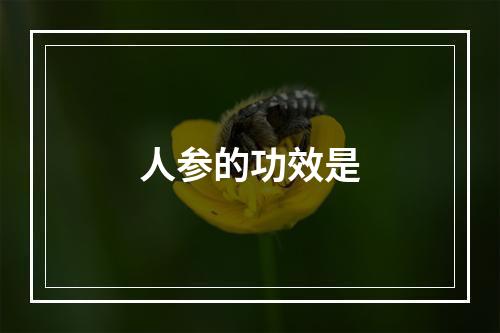 人参的功效是