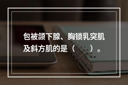 包被颌下腺、胸锁乳突肌及斜方肌的是（　　）。