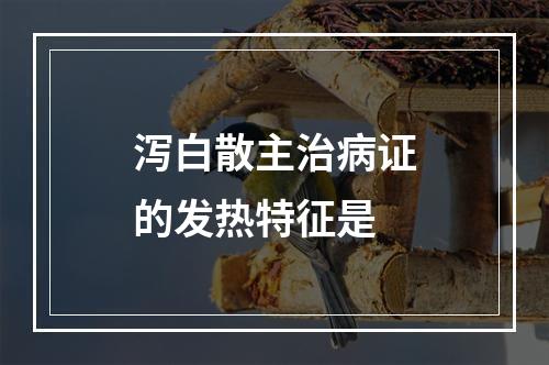 泻白散主治病证的发热特征是