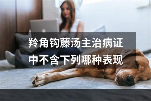 羚角钩藤汤主治病证中不含下列哪种表现