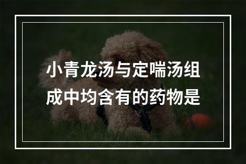 小青龙汤与定喘汤组成中均含有的药物是