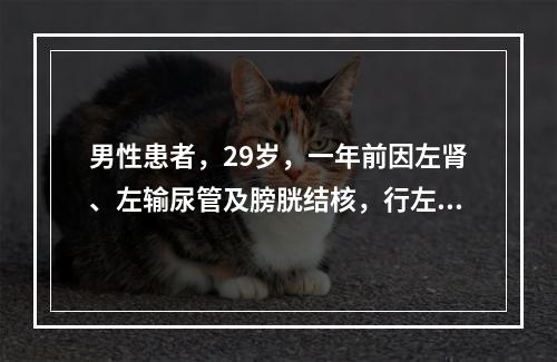 男性患者，29岁，一年前因左肾、左输尿管及膀胱结核，行左肾和