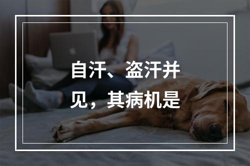 自汗、盗汗并见，其病机是