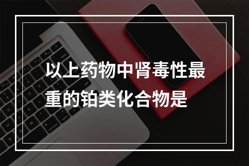 以上药物中肾毒性最重的铂类化合物是