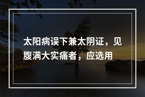 太阳病误下兼太阴证，见腹满大实痛者，应选用