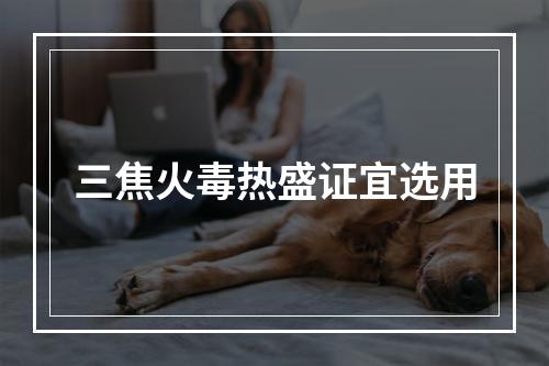 三焦火毒热盛证宜选用