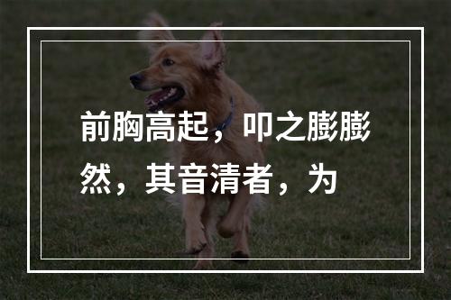 前胸高起，叩之膨膨然，其音清者，为