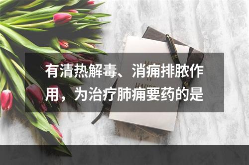 有清热解毒、消痈排脓作用，为治疗肺痈要药的是