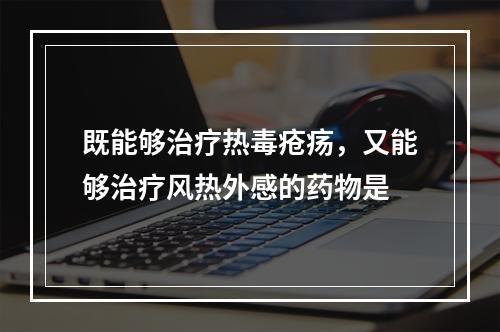 既能够治疗热毒疮疡，又能够治疗风热外感的药物是